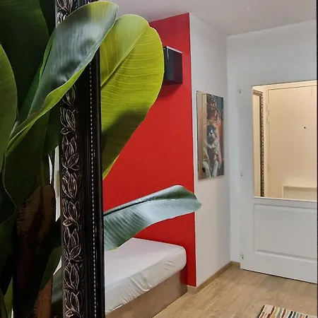 Swiss Border For 4 People Apartment